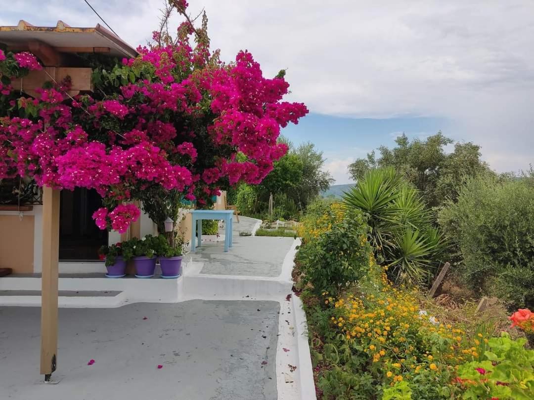 Villa Thea Kato Samikon Esterno foto
