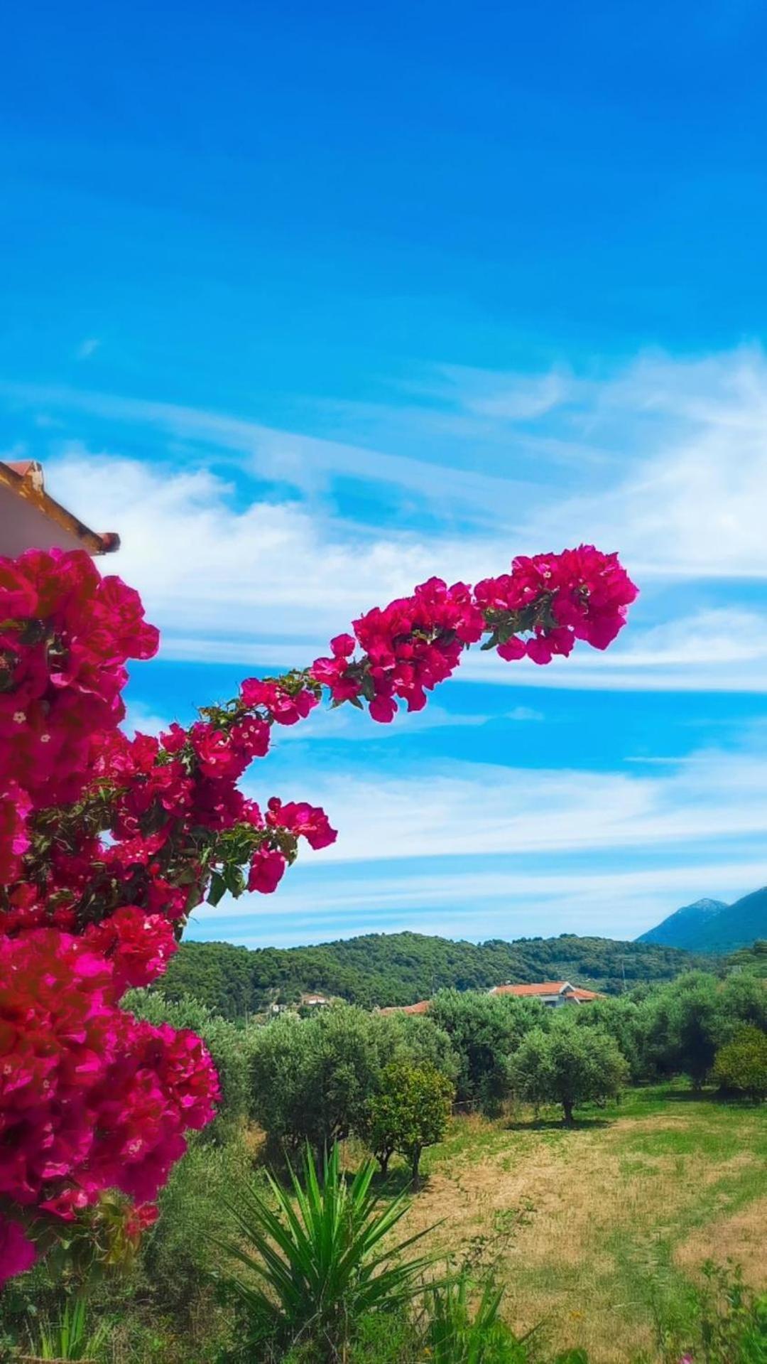 Villa Thea Kato Samikon Esterno foto