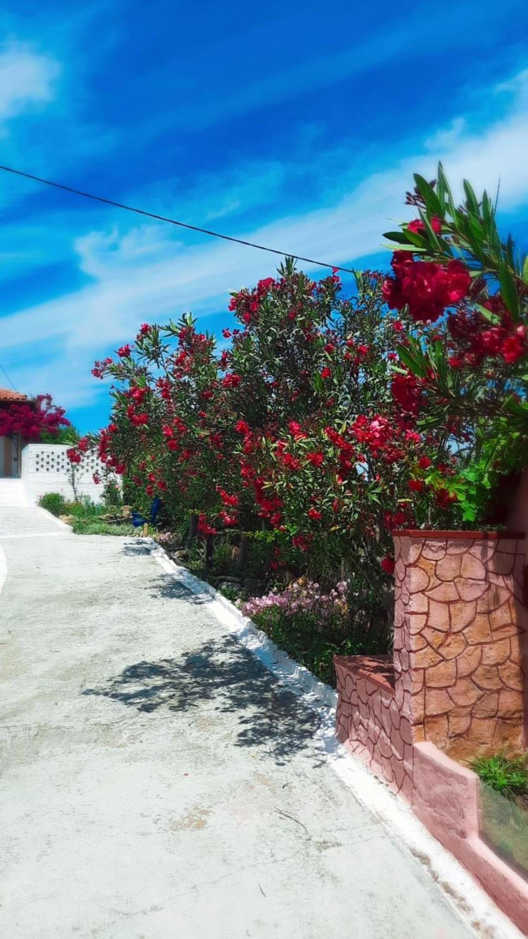 Villa Thea Kato Samikon Esterno foto