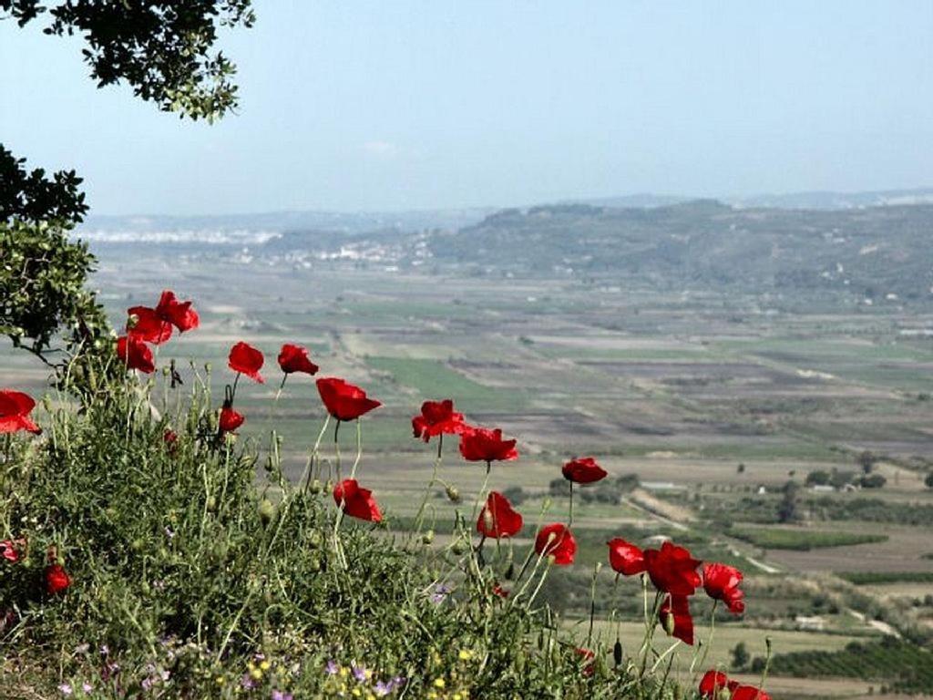 Villa Thea Kato Samikon Esterno foto